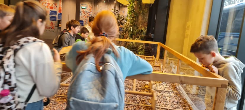 Wycieczka do Fabryki Czekolady E. Wedel - kl.5 a