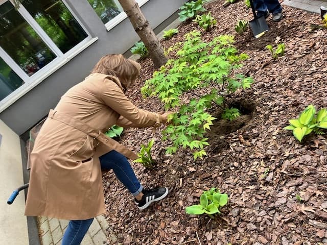 Drzewo za drzewo - 1a zasadziła swoją nagrodę