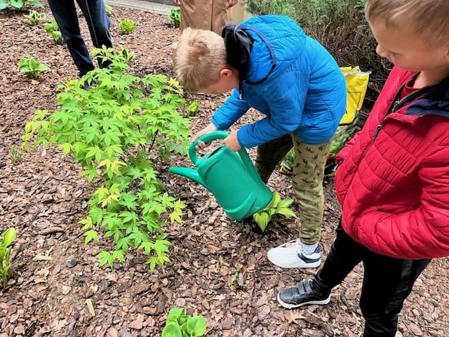 Drzewo za drzewo - 1a zasadziła swoją nagrodę