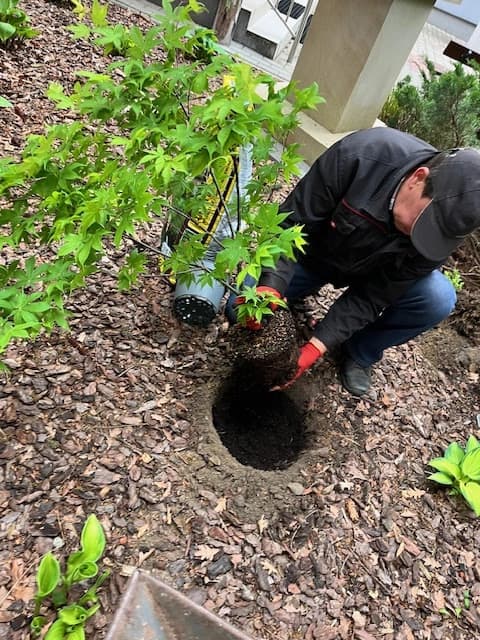 Drzewo za drzewo - 1a zasadziła swoją nagrodę