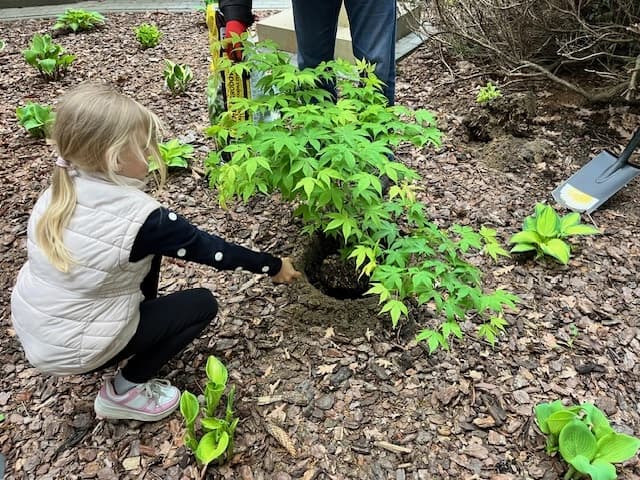 Drzewo za drzewo - 1a zasadziła swoją nagrodę