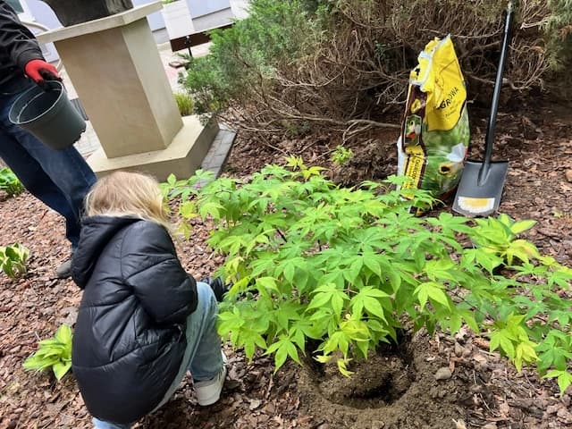 Drzewo za drzewo - 1a zasadziła swoją nagrodę