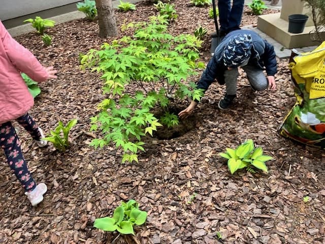 Drzewo za drzewo - 1a zasadziła swoją nagrodę