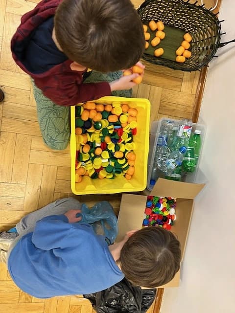 Ekologiczny projekt klasy 1a - Symbioza natury, miododajne drzewo