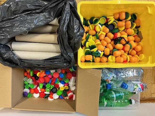 Ekologiczny projekt klasy 1a - Symbioza natury, miododajne drzewo