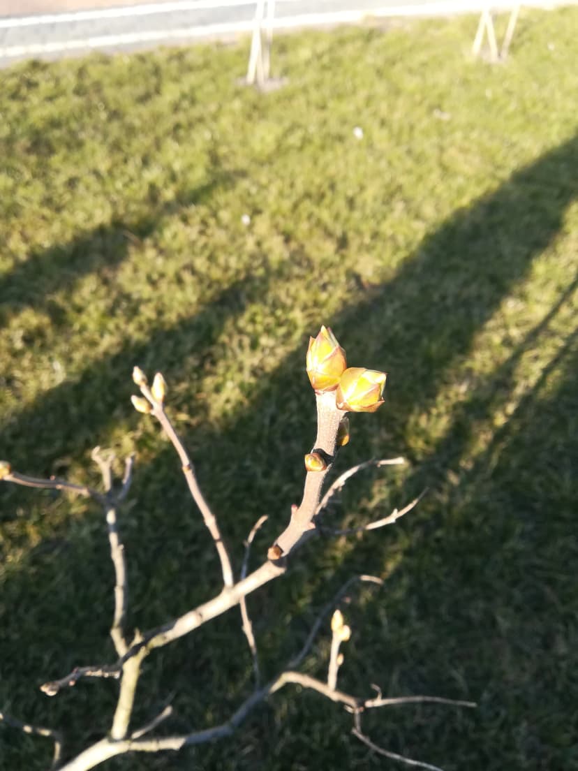 Nasza droga wiosenka...