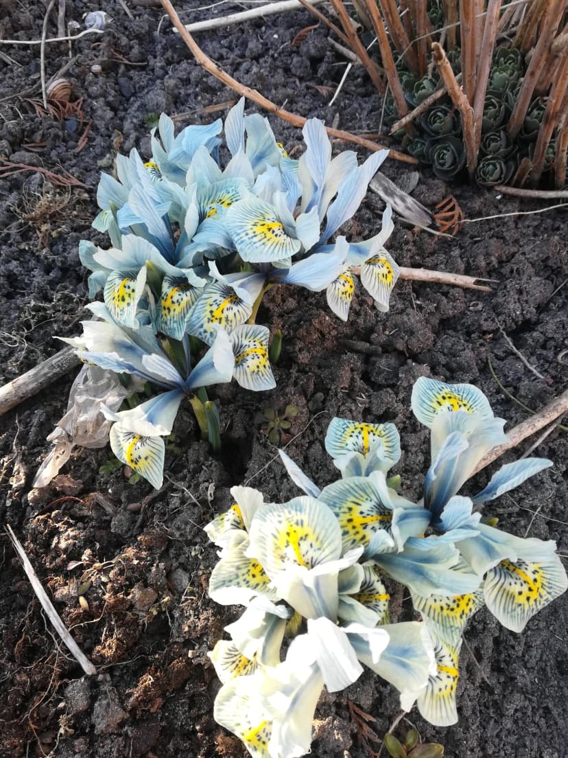 Nasza droga wiosenka...