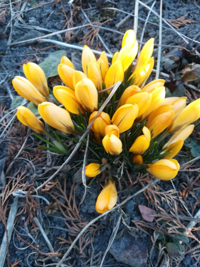 Nasza droga wiosenka...