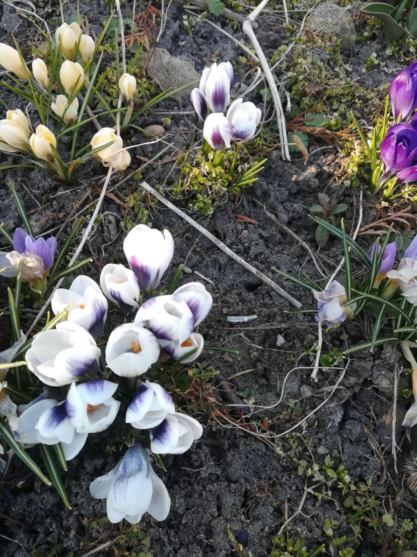 Nasza droga wiosenka...