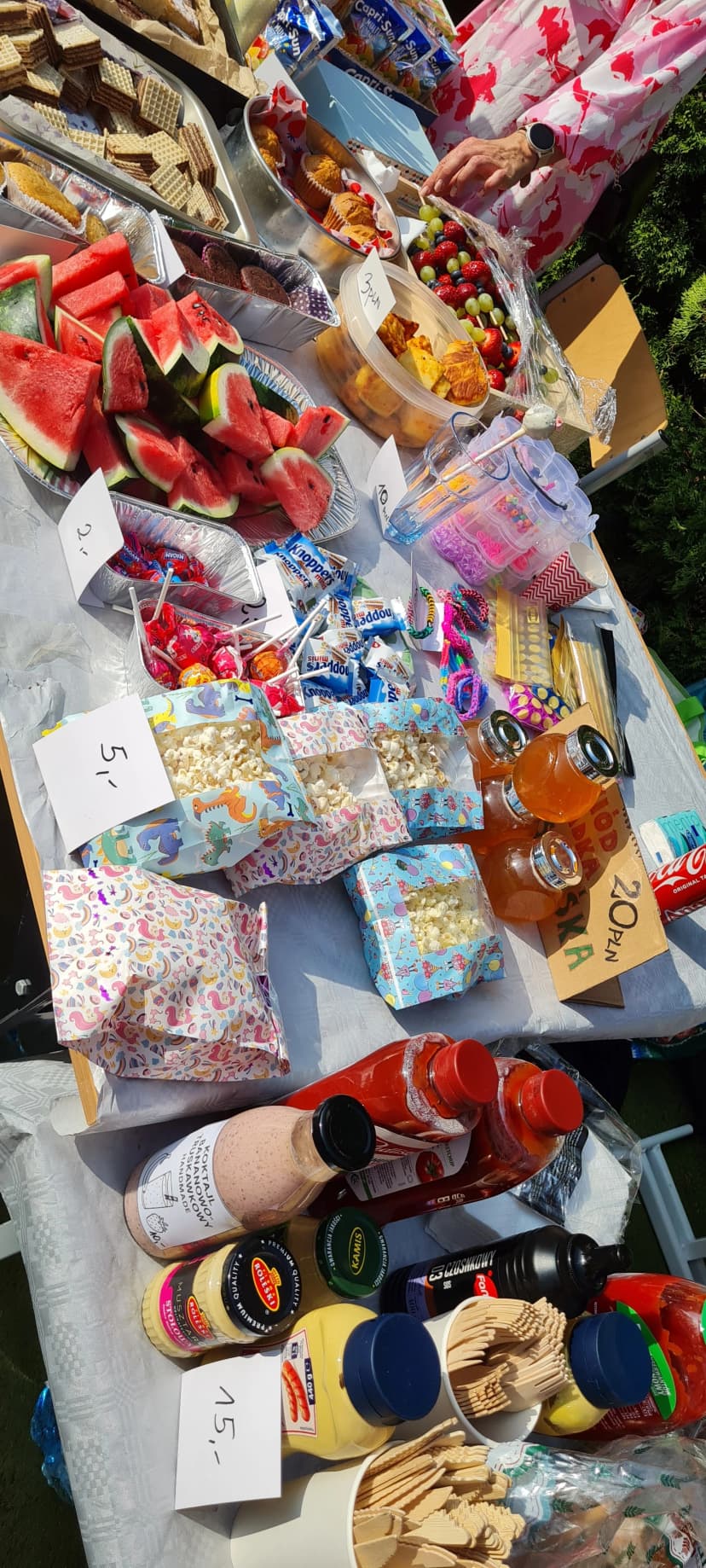 Festyn rodzinny "W zdrowym ciele dziki duch".