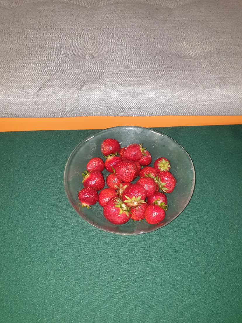 Dzień Zdrowego Odżywiania.