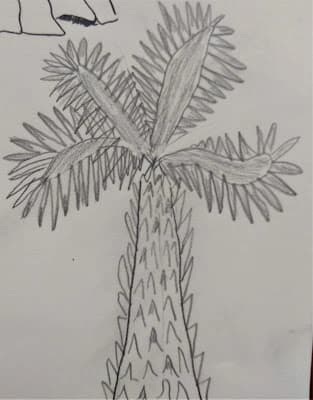 Ołówkiem narysowane...