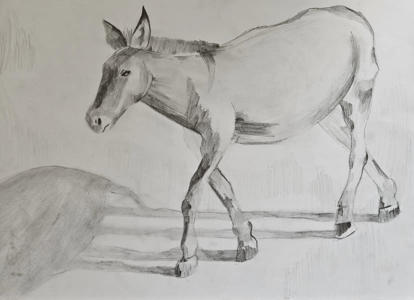 Galeria Ucznia Zdolnego