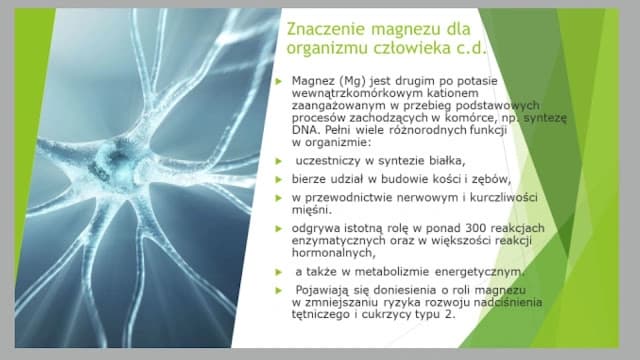 Wiem co jem-PREZENTACJA O MAGNEZIE