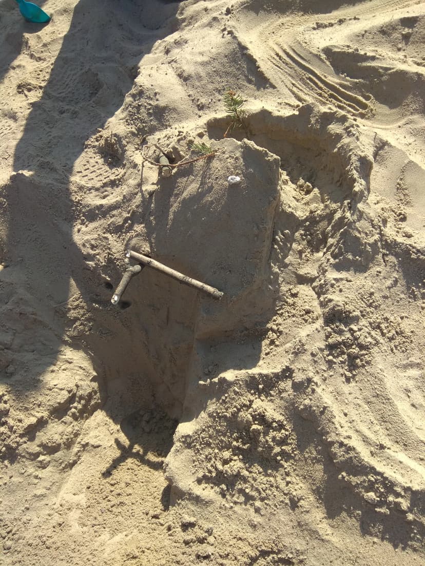 Różności i rozmaitości...