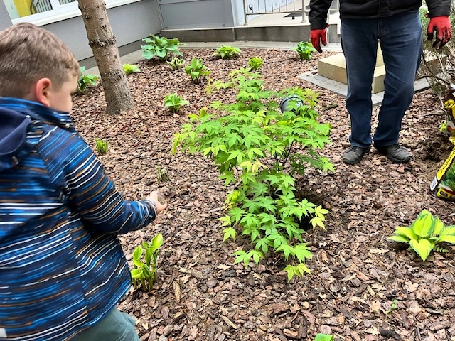 Drzewo za drzewo - 1a zasadziła swoją nagrodę - zdjęcie 6