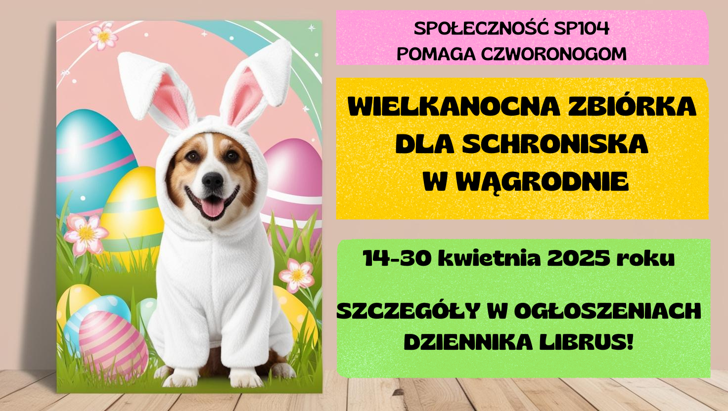 Zbiórka dla schroniska w SP104 - zdjęcie 1
