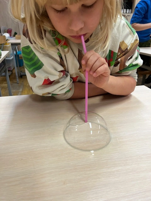 Eksperymenty w 1a - nagroda motywacyjna - zdjęcie 2