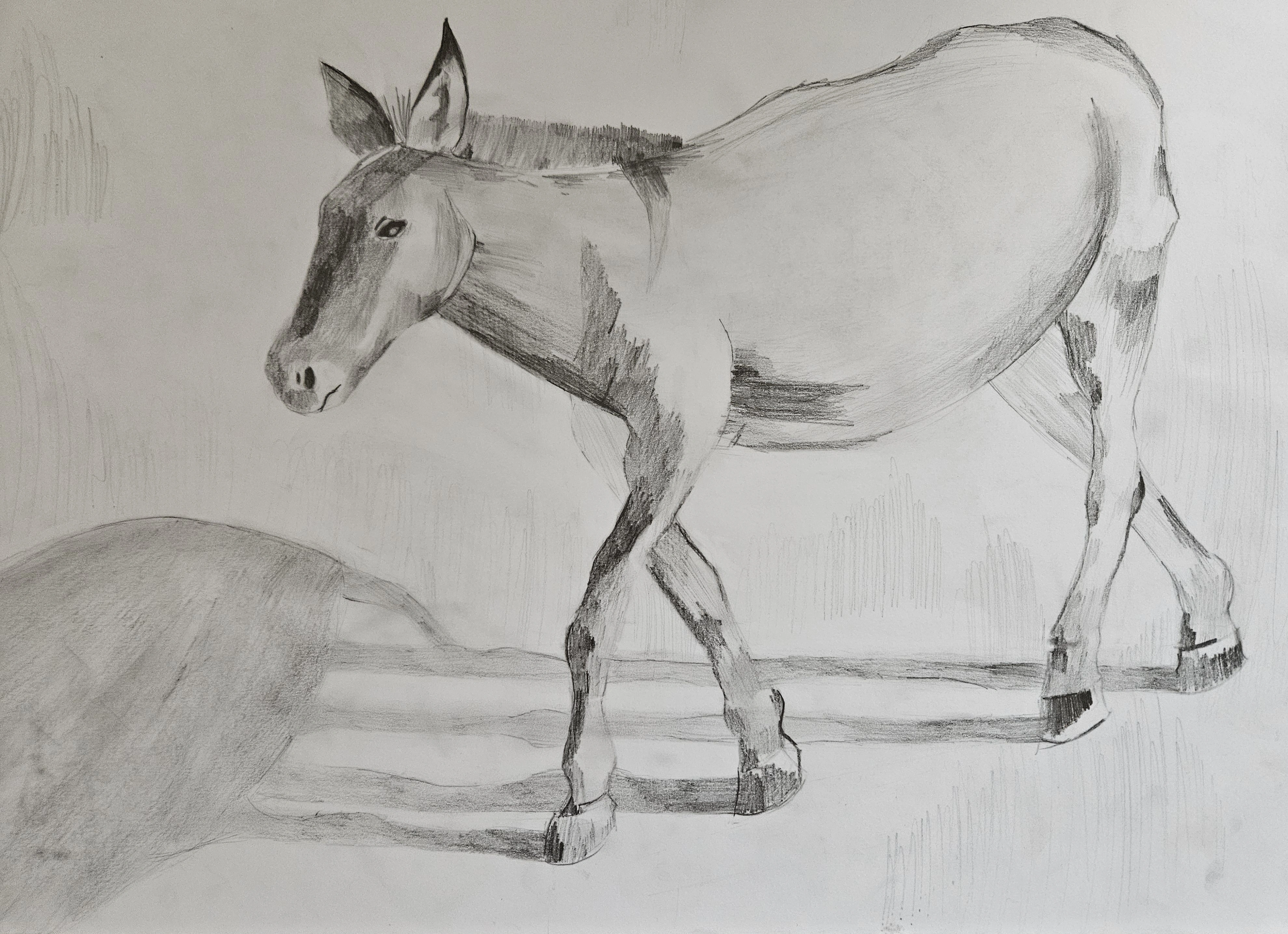 Galeria Ucznia Zdolnego - zdjęcie 4