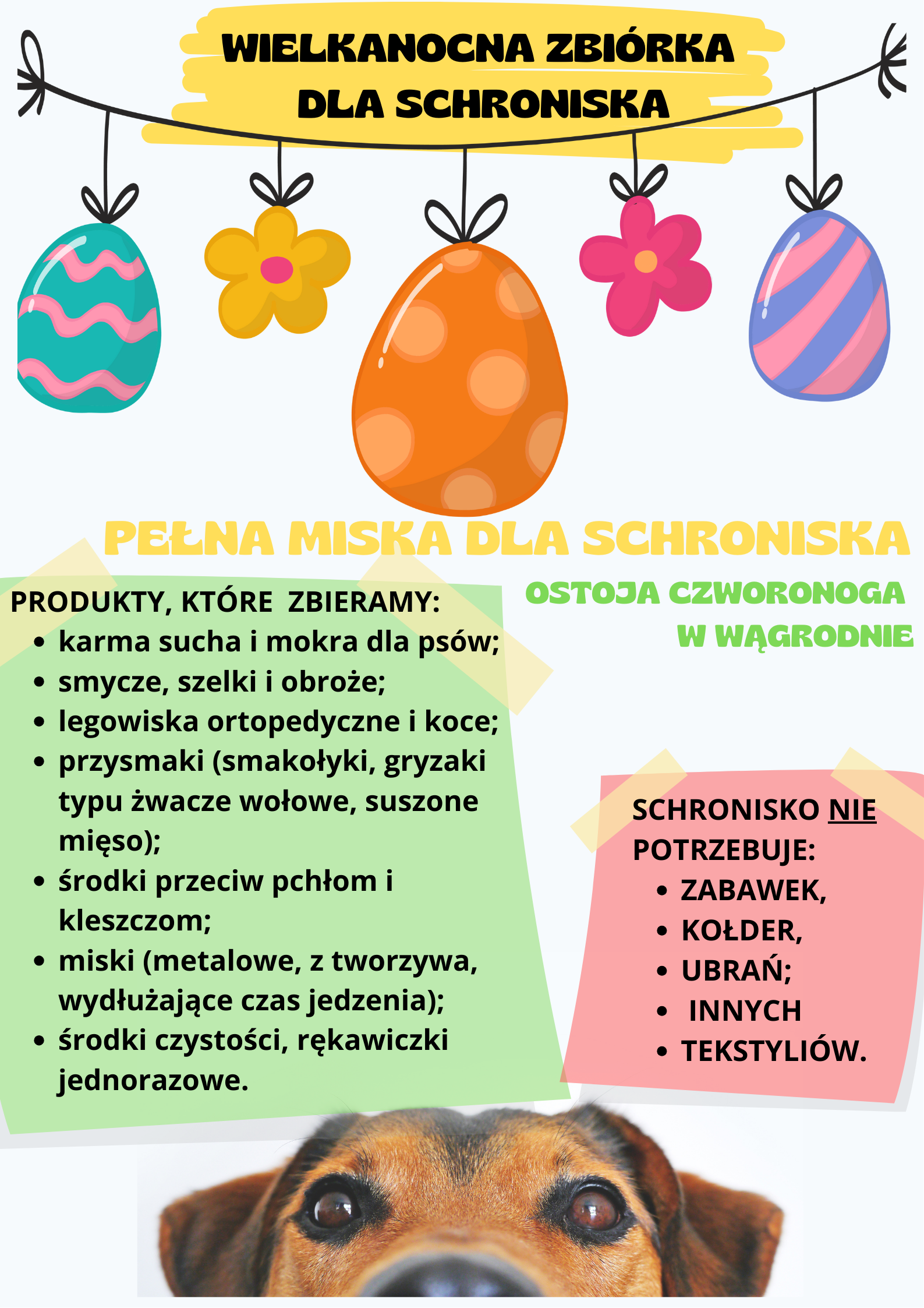 Zbiórka dla schroniska - zdjęcie 2