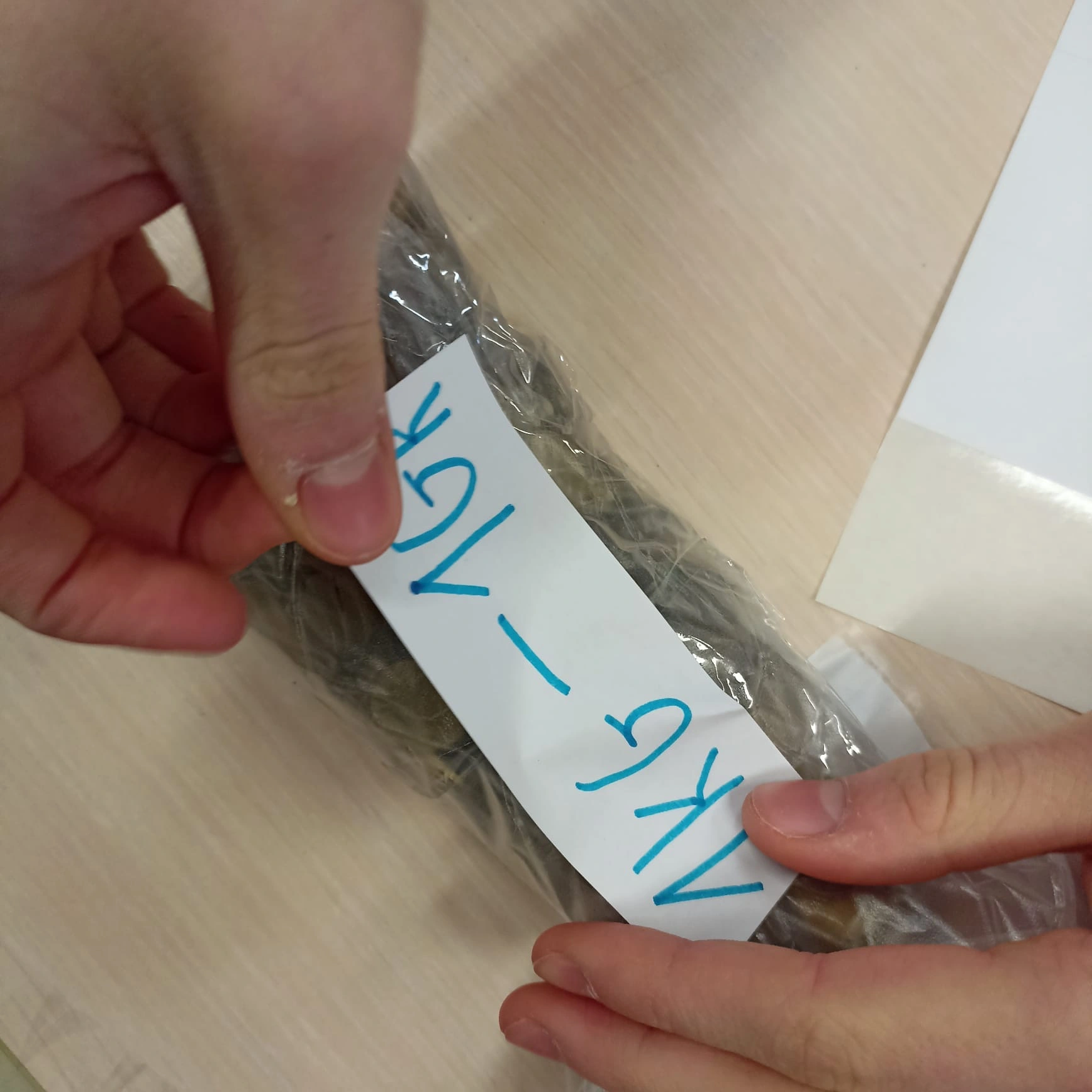 Góra Grosza 2025 - dziękujemy! - zdjęcie 2